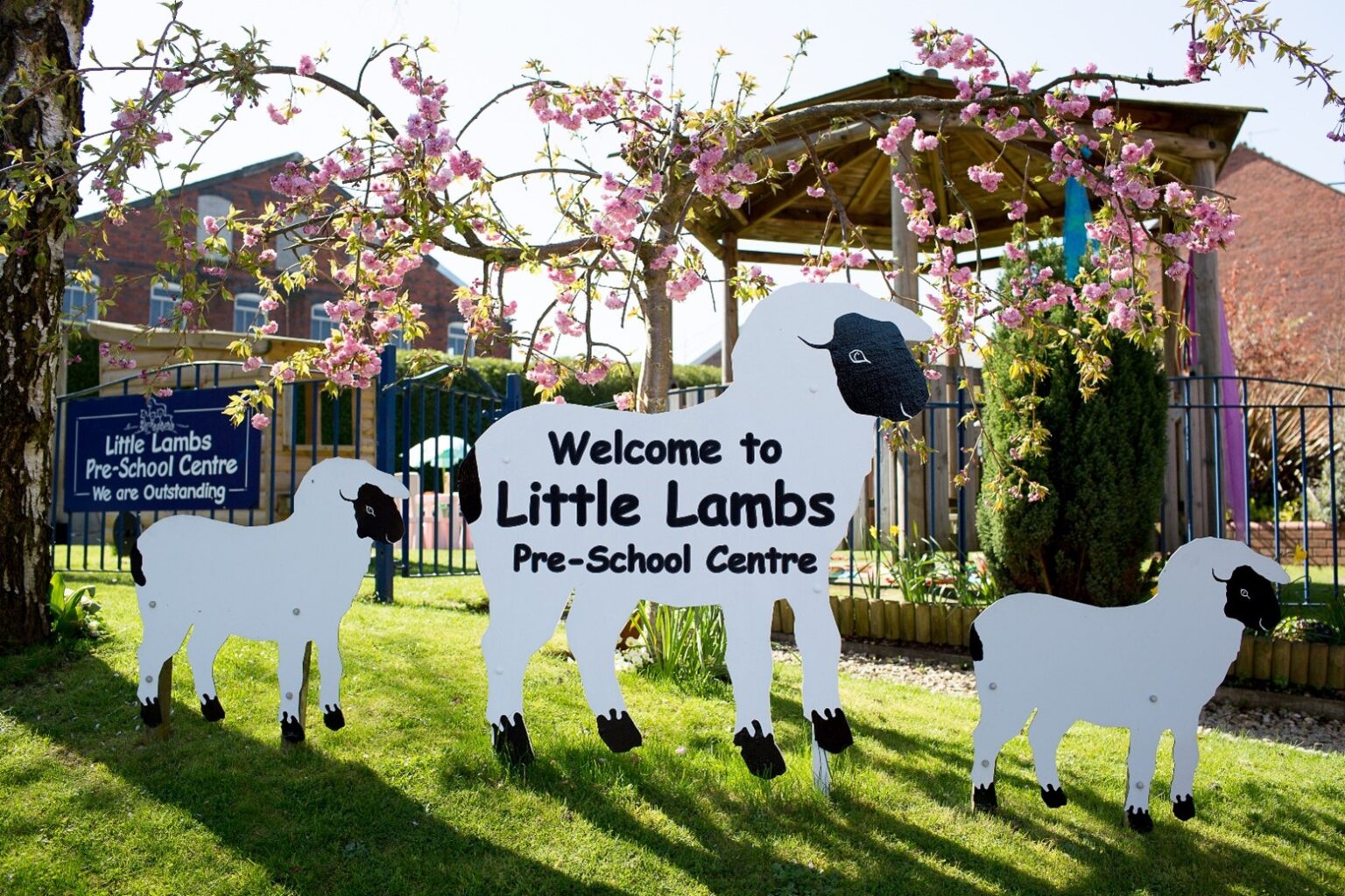 Little Lambs on drive Little Lambs on drive